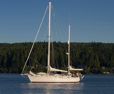 Stacks Image 655